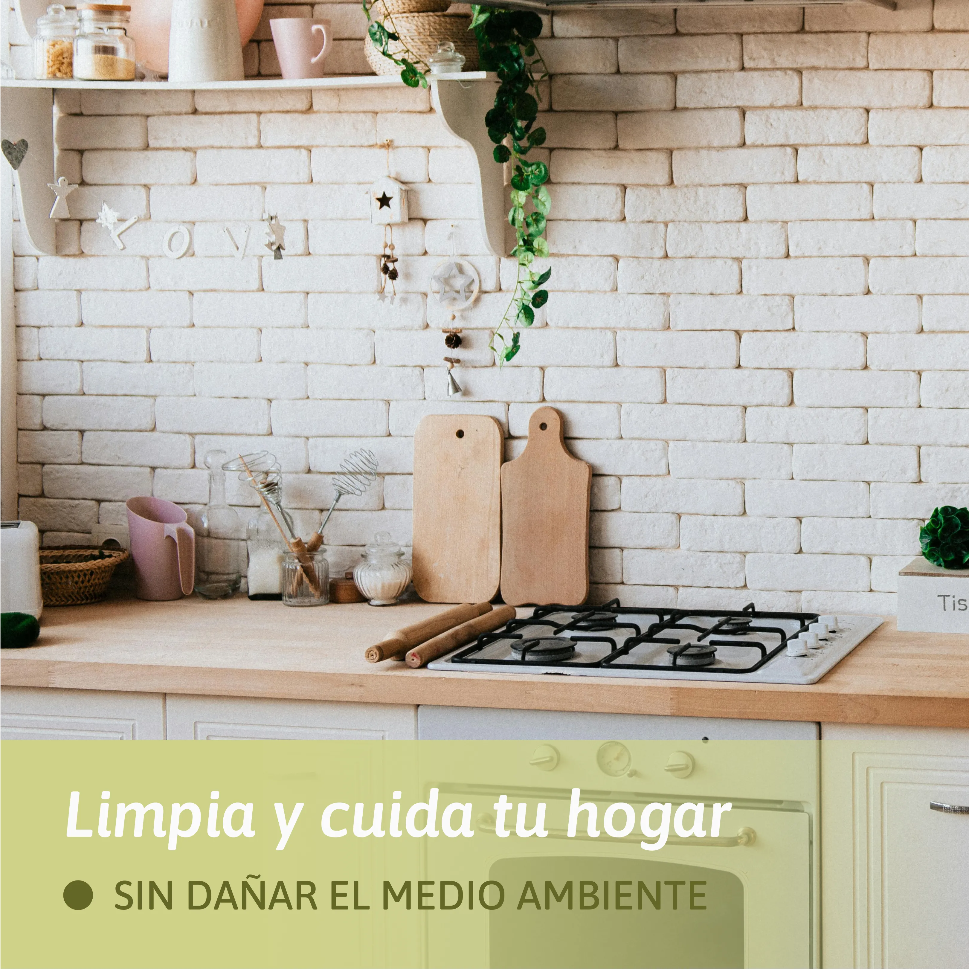Ácido Cítrico - Limpiador versátil - Image 7